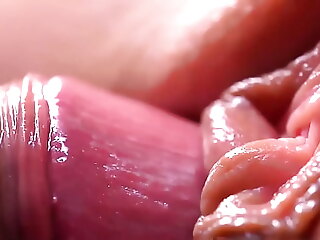 Extremily close-up pussyfucking. Macro Internal